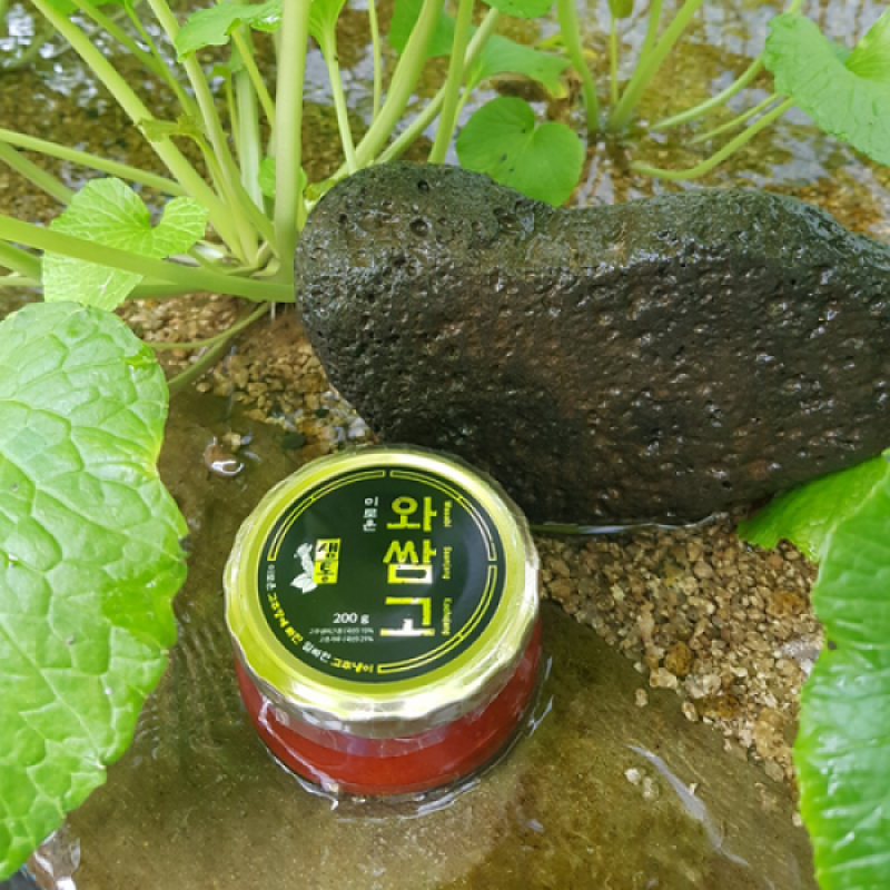 철원샘통고추냉이,철원샘통고추냉이 와사비 쌈장 고추장_이로운 와쌈고 200g