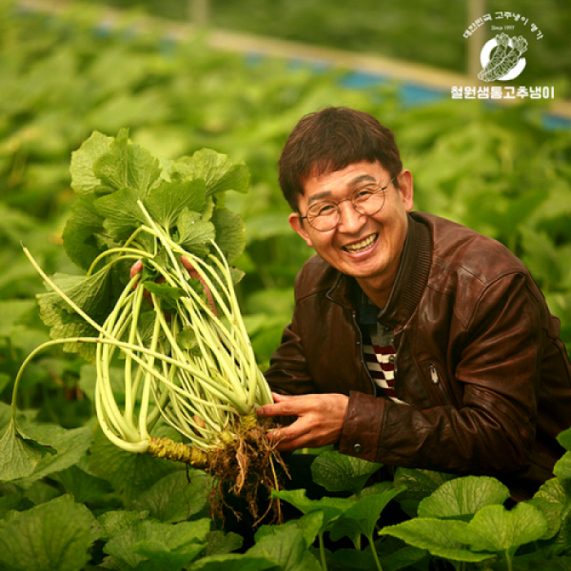 철원샘통고추냉이,철원샘통고추냉이 잎장아찌 500g